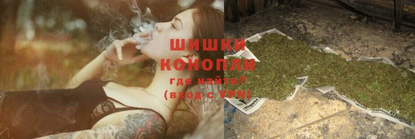 индика Осинники