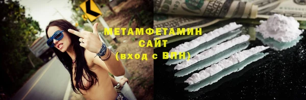 индика Осинники