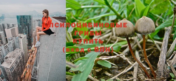 круглые Нягань