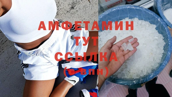 индика Осинники