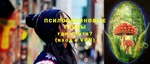 МДМА Няндома
